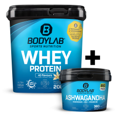 Whey + BIG PACK Ashwagandha (360 Kapseln)