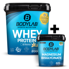 Whey + BIG PACK Magnesium Bisglycinate (420 Kapseln)