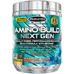 Performance Series Amino Build Next Gen (270g)