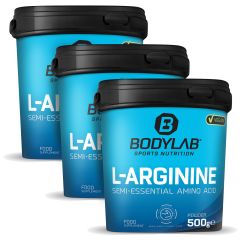 3 x Arginine Powder (500g)