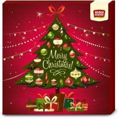 Premium Adventskalender bio (361g)