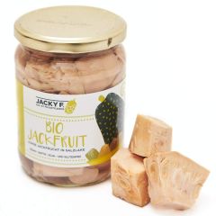 Bio Jackfruit in Salzlake Glas (500g)