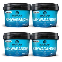 4 x Bodylab Ashwagandha + Magnesium - Zinc - Vitamin B6 (elk 120 capsules)