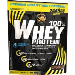 100% Whey Protein (500g)