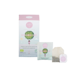 Dynamic Day Bio (20 Beutel)