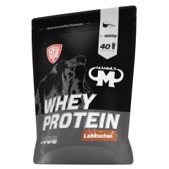 Whey Protein - 1000g - Gingerbread