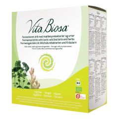 Vita Biosa Ingwer bio (3000ml)