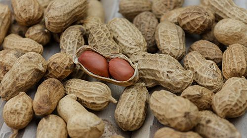 Ernährungsprogramm zum Muskelaufbau - Teil 5