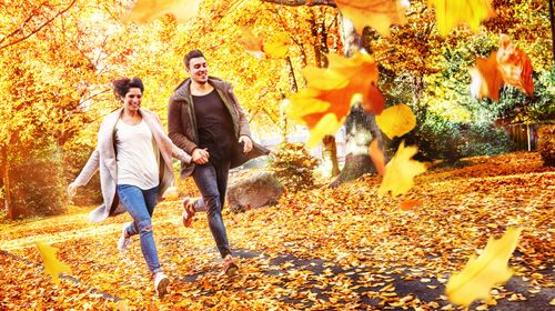 Mit unseren 7 Tipps kommst du gesund durch den Herbst & Winter