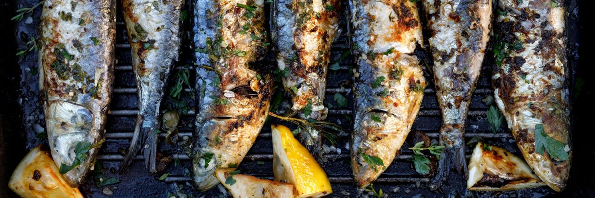 Sardine