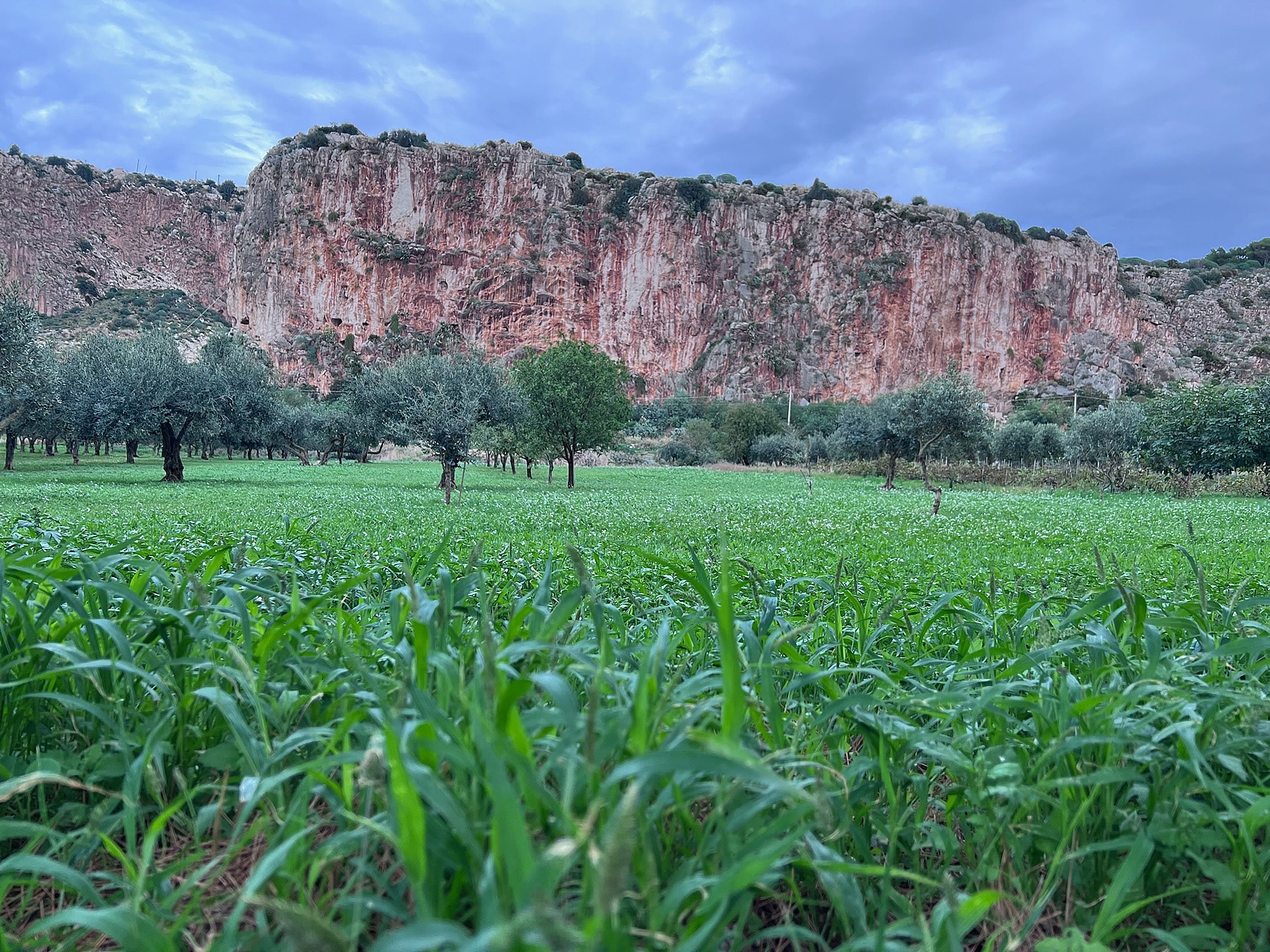 Spring at Monte Cofano