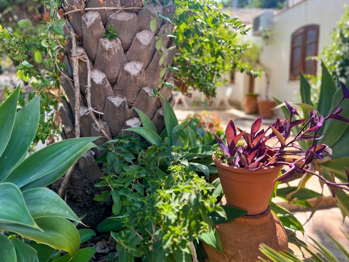 Baglio Ritunnu garden view