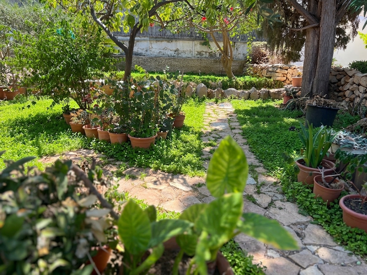 Baglio Ritunnu garden view