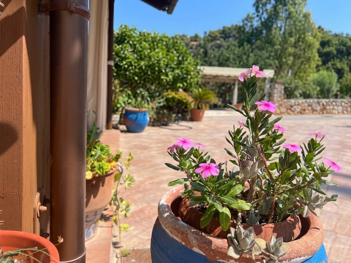Baglio Ritunnu garden view