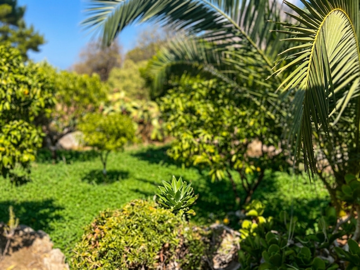 Baglio Ritunnu garden view