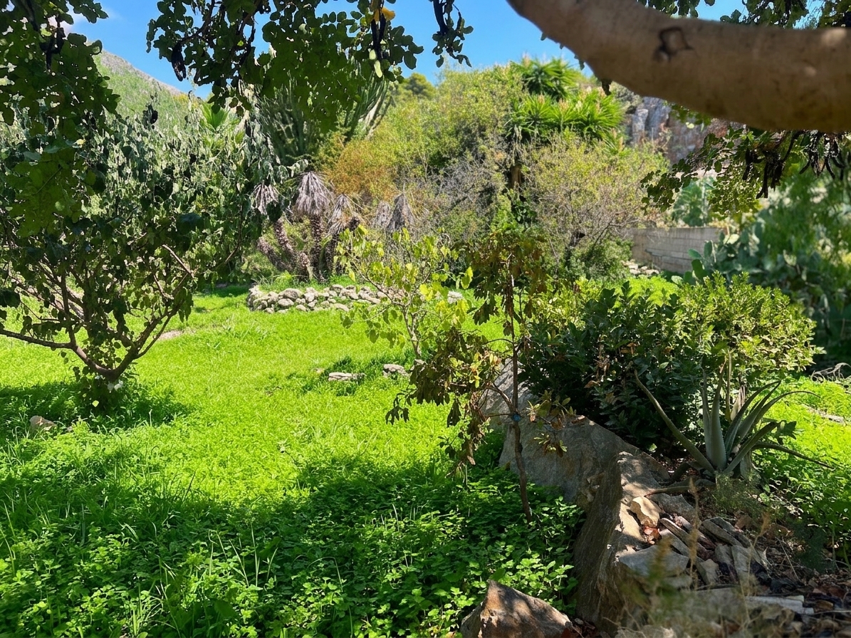 Baglio Ritunnu garden view
