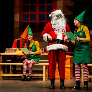 GLI ELFI DI BABBO NATALE