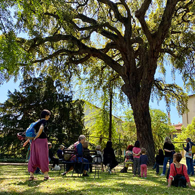 MUSEO DI STORIA NATURALE, ORTO BOTANICO "GIARDINO DEI SEMPLICI" FIRENZE
