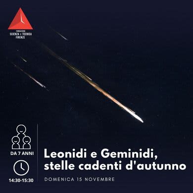 LEONIDI E GEMINIDI, STELLE CADENTI D'AMORE