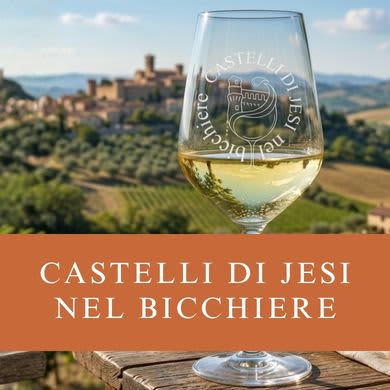 CASTELLI DI JESI NEL BICCHIERE
