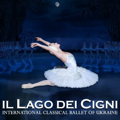 IL LAGO DEI CIGNI