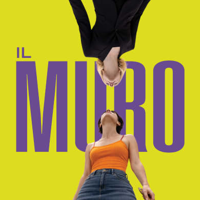 IL MURO