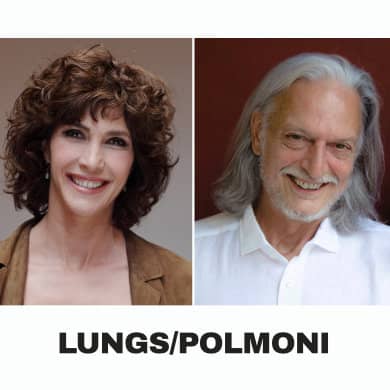 LUNGS/POLMONI