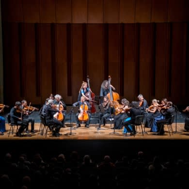 PATHOS IN MUSICA
