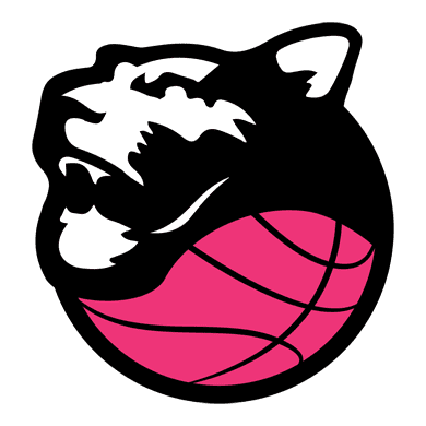 Biglietti People Strategy Panthers Roseto - Geas Sesto S. Giovanni