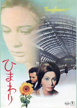 ひまわり(1970)