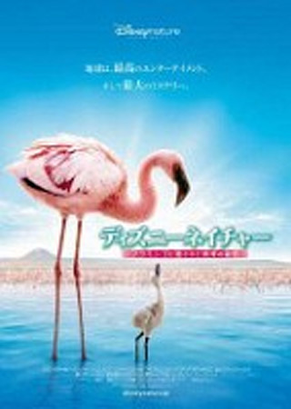 ディズニーネイチャー/フラミンゴに隠された地球の秘密