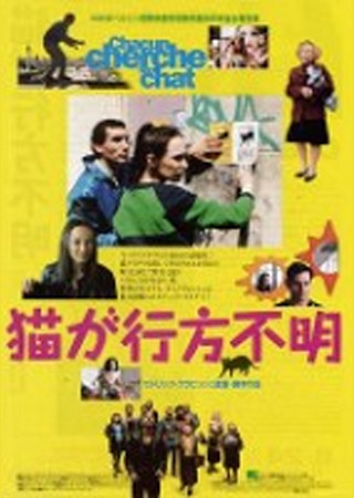 猫が行方不明