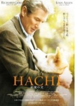 HACHI 約束の犬