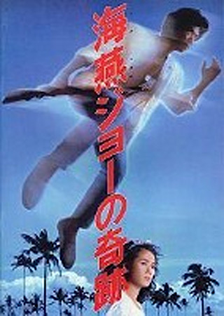 海燕ジョーの奇跡