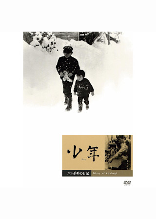 少年