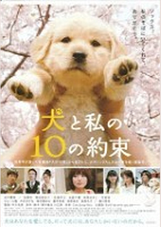 犬と私の10の約束