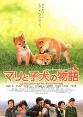 マリと子犬の物語