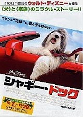 シャギー・ドッグ