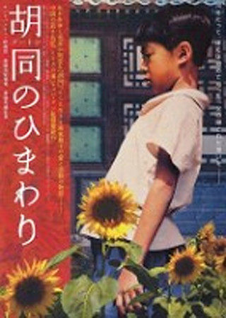 胡同(フートン)のひまわり