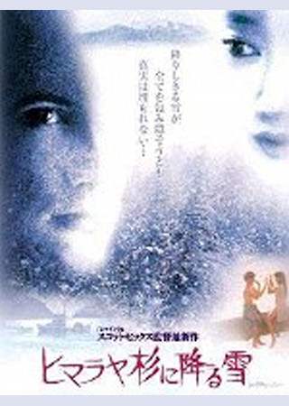 ヒマラヤ杉に降る雪