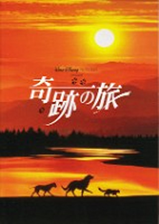 奇跡の旅