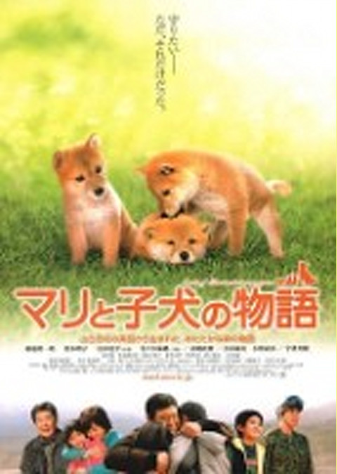 マリと子犬の物語