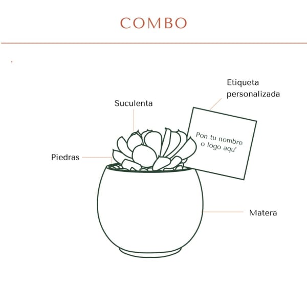 Combo esférica 9 - Imagen 2