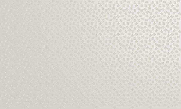 HPS Ral 9002 1250x2500x06 Antikk Hvit 