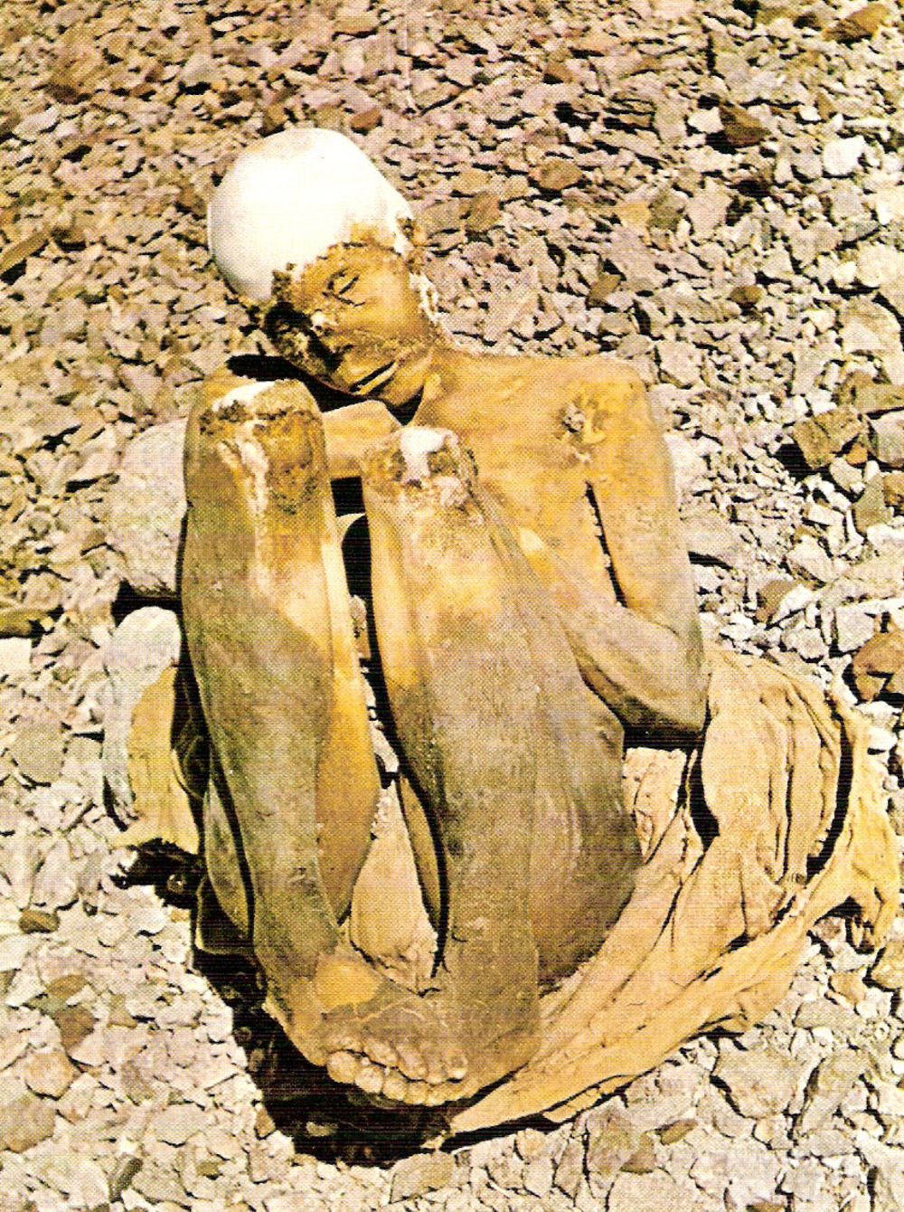 Momia del Nev. El Toro (6.160 m.)