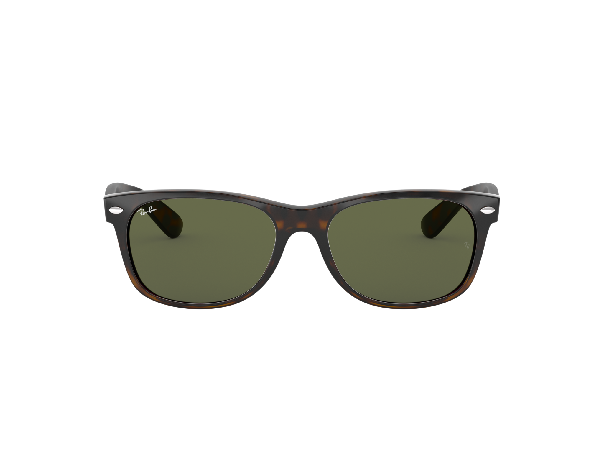 New Wayfarer Tortoise
