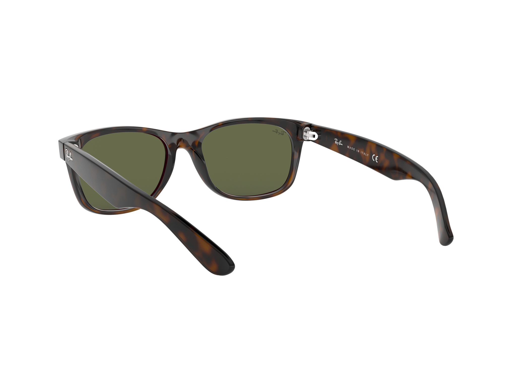 New Wayfarer Tortoise