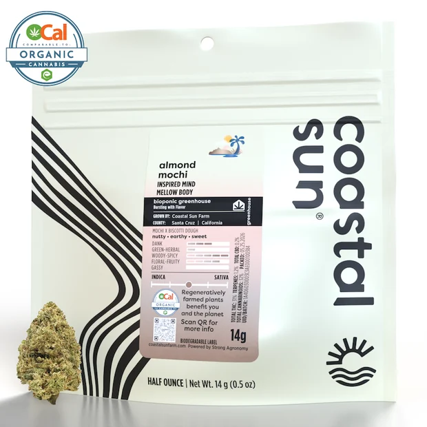 Almond Mochi - 14g H - Coastal Sun