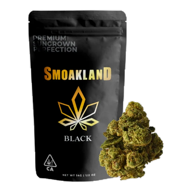 Black - Blackberry Punch