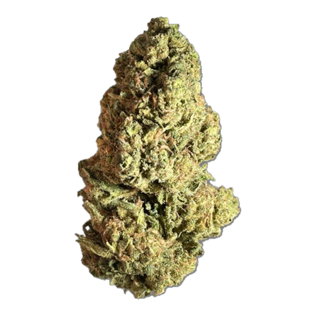 BLACK - Blue Rhino